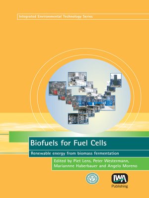 cover image of Biofuels for Fuel Cells